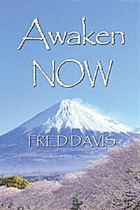 Awaken Now: The Living Method of Spiritual Awakening (Paperback)