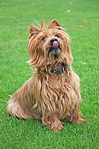 Website Password Organizer, a Sitting Australian Terrier: Password/Login/Website Keeper/Organizer Never Worry about Forgetting Your Website Password o (Paperback)