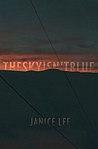 The Sky Isnt Blue (Paperback)