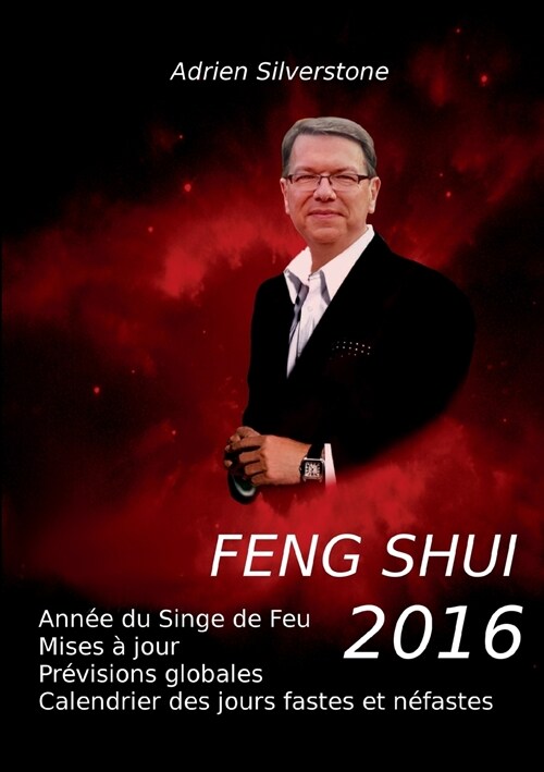 Feng Shui 2016: Ann? du Singe de Feu (Paperback)