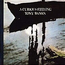 [수입] Tony Banks - A Curious Feeling [180g LP]