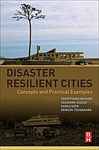 Disaster Resilient Cities: Concepts and Practical Examples (Paperback)