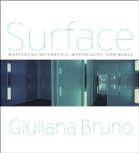 Surface: Matters of Aesthetics, Materiality, and Media (Paperback)
