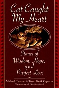 Cat Caught My Heart (Hardcover)