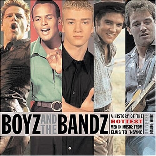 Boyz and the Bands (Hardcover)