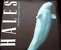 Whales, Dolphins, and Porpoises (Hardcover)