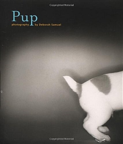 [중고] Pup (Hardcover)