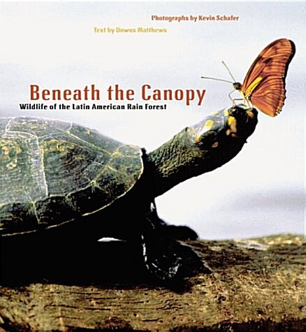 Beneath the Canopy (Paperback)