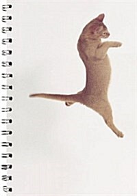 Dancing With Cats Solo Cat Journal (Hardcover, Spiral)