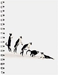 Dancing With Cats Black and White Cat Journal (Hardcover, Spiral)