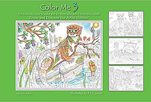 Color Me Your Way 3, Volume 3 (Spiral)