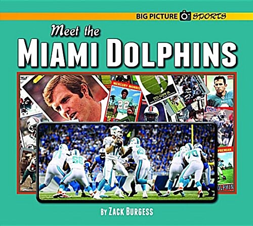 Meet the Miami Dolphins (Hardcover)