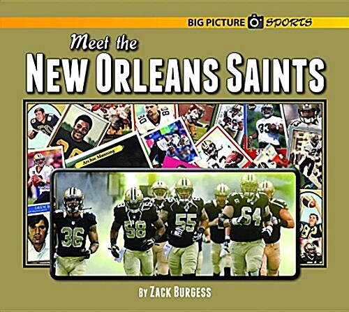 Meet the New Orleans Saints (Hardcover)