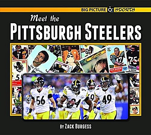 Meet the Pittsburgh Steelers (Hardcover)