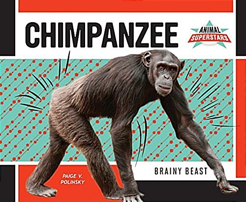 Chimpanzee: Brainy Beast (Library Binding)