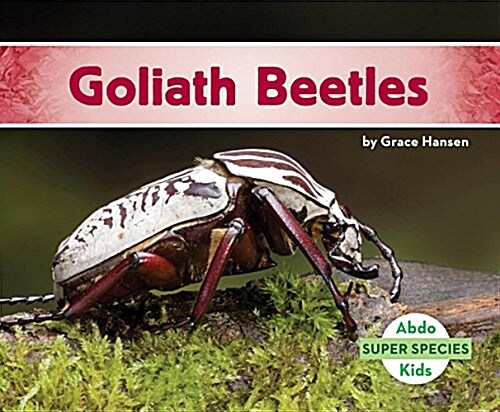 Goliath Beetles (Library Binding)