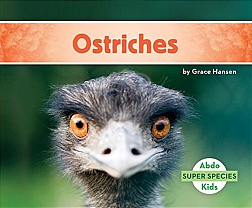 Ostriches (Library Binding)