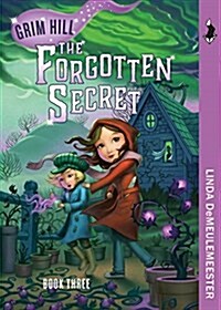 The Forgotten Secret (Paperback)