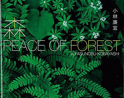 森 PEACE OF FOREST (單行本)