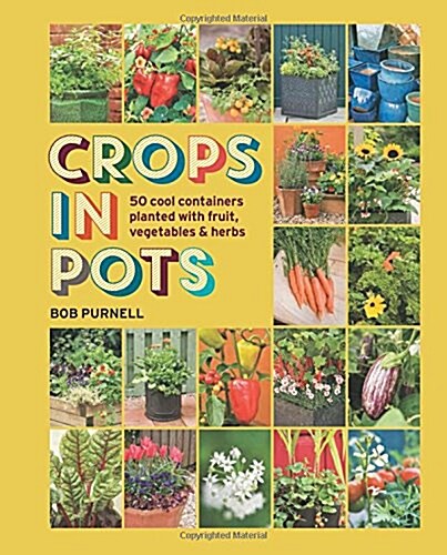 Crops in Pots : 50 Cool Containers Planted with Fruit, Vegetables and Herbs (Hardcover)