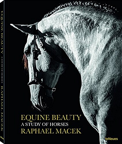 Equine Beauty: A Study of Horses (Hardcover, Small Format)
