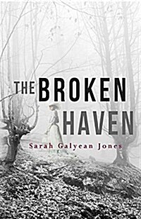 The Broken Haven (Paperback)