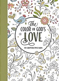 The Color of Gods Love (Paperback)