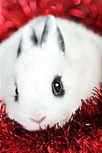 Baby Bunny, for the Love of Animals: Blank 150 Page Lined Journal for Your Thoughts, Ideas, and Inspiration (Paperback)