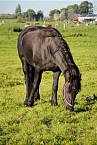 A Horse Grazing, for the Love of Animals: Blank 150 Page Lined Journal for Your Thoughts, Ideas, and Inspiration (Paperback)