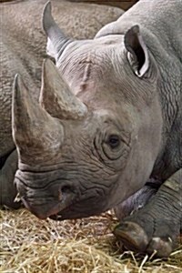 Side Profile of a Rhino, for the Love of Animals: Blank 150 Page Lined Journal for Your Thoughts, Ideas, and Inspiration (Paperback)