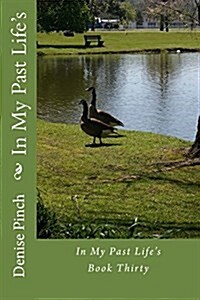 In My Past Lifes: Book Thirty (Paperback)