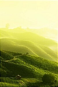 Tea Plantation in the Fog: Blank 150 Page Lined Journal for Your Thoughts, Ideas, and Inspiration (Paperback)