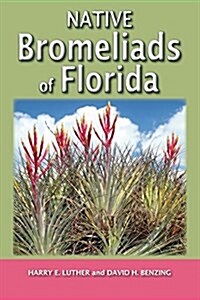 Native Bromeliads of Florida (Paperback)