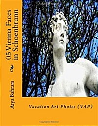 05 Vienna Faces in Schoenbrunn: Vacation Art Photos (Vap) (Paperback)