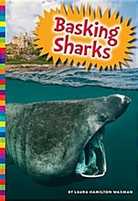 Basking Sharks (Library Binding)