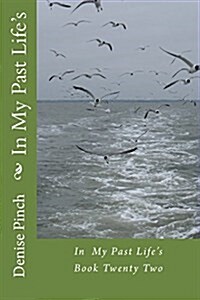 In My Past Lifes: Book Twenty Two (Paperback)