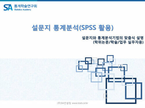 설문지 통계분석 (SPSS활용)