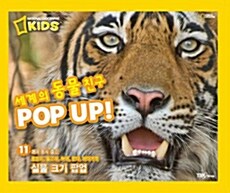 세계의 동물 친구 POP UP!