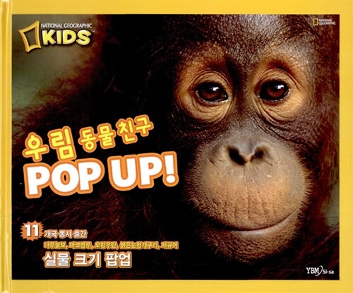 우림 동물 친구 POP UP!