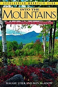 Into the Mountains (Paperback)