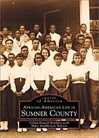 African-American Life in Sumner County (Paperback)