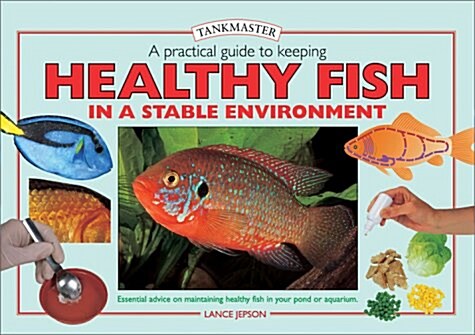 A Practical Guide to Keeping Healthy Fish in a Stable Environment (Hardcover, 1st)