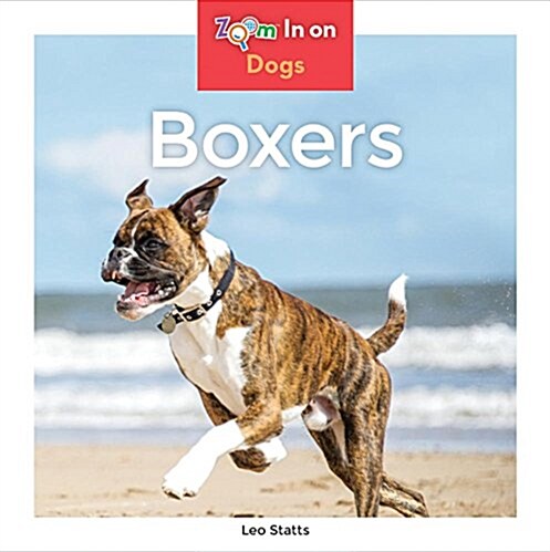 Boxers (Library Binding)