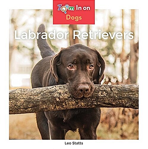 Labrador Retrievers (Library Binding)