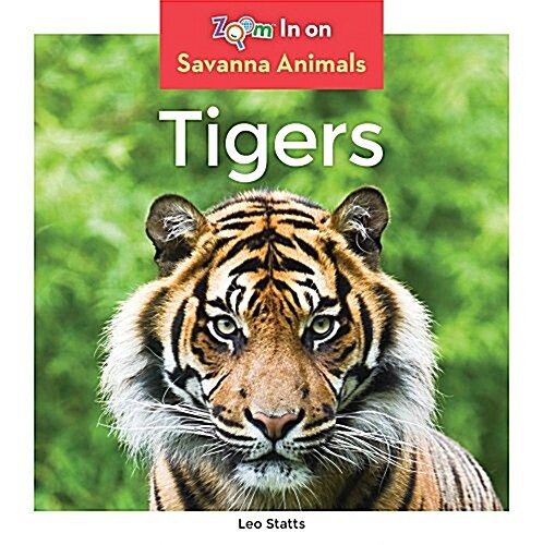 Tigers (Library Binding)