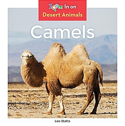 Camels (Library Binding)