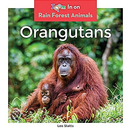 Orangutans (Library Binding)
