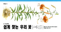 쉽게 찾는 우리 꽃. [2], 여름 표지