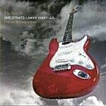 [수입] Private Investigation :The Best Of Dire Straits & Mark Knopfler (2LP)