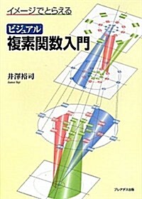 ビジュアル複素關數入門―イメ-ジでとらえる (單行本)